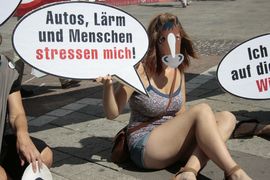 Kotschicht