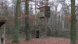 Jagdstand mit diversen Zäunen im Wald