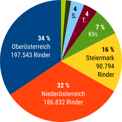 Tortengrafik mit Anzahl bzw. Prozentwerte der für die Mast benutzten Rinder pro Bundesland