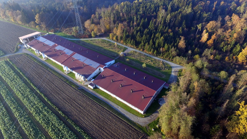 Schweinestall aus Vogelperspktive