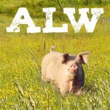 ALWs