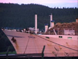 Stopp the Bullship (engl.)