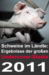 Die Ergebnisse der großen Undercover-Recherche