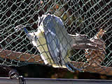 Bilddokumente vom oö Vogelfang