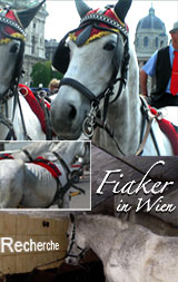 Tierschutzbericht Fiaker in Wien 2006