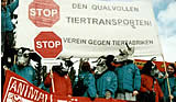1. Juli: Internationaler Groß-Aktionstag gegen Tiertodestransporte