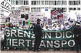 Internationale Tiertransport-Demo in Brüssel voller Erfolg