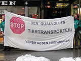 Tiertransporte: Petition an EU-Vorsitzenden Irland