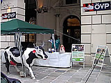 VGT-Demo vor der ÖVP Parteizentrale