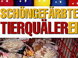 Vorsicht beim Kauf von Ostereiern: Schöngefärbte Tierquälerei!