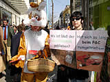 Der Osterhase sucht verzweifelt seine Familie ...