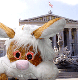 Eine Reform des maroden Tierversuchsgesetzes muss her!