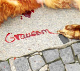 Am 25.11. fiel der Startschuss für die Anti-Pelzkampagne in Passau