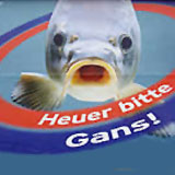 Die Werbung als Spiegel des gesellschaftlichen Bewusstseins