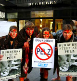 Aktivist/innen platzte der blutige Pelzkragen