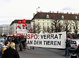 Tierschutz fühlt sich von SPÖ verraten