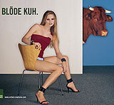 "Dummes Huhn", "Blöde Kuh" oder "Faule Sau"