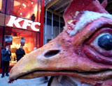 KFCs Tierquälerei stinkt zum Himmel!