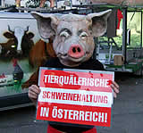 START der Grunztour 2007!