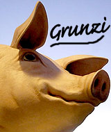 Das war die Grunztour 2007