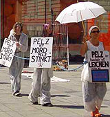 Protestabschnitt Kleider Bauer