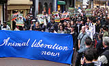 Großdemo für Tierrechte in Amsterdam