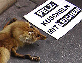 Kleider Bauer Proteste gehen weiter!