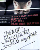 Geschehnisse um Kleider Bauer ...