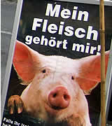 4. Oktober: Welttierschutztag