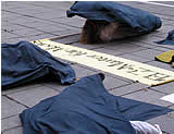 Animal Liberation Workshop in Innsbruck