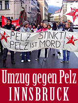 Der große Pelzumzug durch Innsbruck