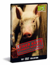 Kdolsky im Kreuzfeuer des Tierschutzes