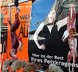 Zu Weihnachten: 50% des Pelzumsatzes