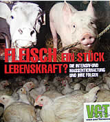 Fleisch ein Stück Lebenskraft?