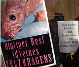 Weltweiter Aktionstag gegen Pelzpolitik von IC Company