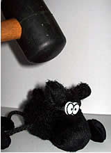 21. August 2008: 3 Monate U-Haft für die Tierschutzgefangenen!