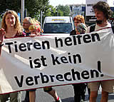 Breite Sympathie mit entlassenen Tierschutzhäftlingen