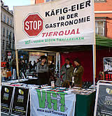 Tierschutz aktiv: jede Woche Aktivitäten in Graz!