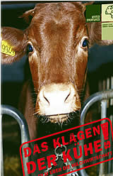 Das Klagen der Kühe