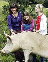 Besuch im Tierparadies Schabenreith