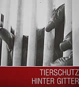 Einladung zur Pressekonferenz: VGT präsentiert Abschlussberichte zu den polizeilichen Ermittlungen in der Tierschutzcausa