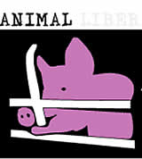 Animal Liberation Workshop des VGT in Maribor, Slowenien