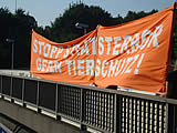 Tierschutzcausa: Bundesweiter Autobahnaktionstag