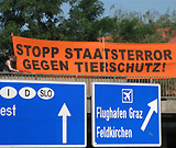 Tierschutzcausa: Bundesweiter Autobahnaktionstag