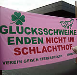 Glücksschweine enden nicht am Schlachthof!
