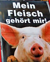 Samstag auf dem Stephansplatz - ein Fixpunkt für den Tierschutz