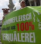 Kundgebung vor dem Parlament für Reformen in der Schweinehaltung