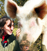 Tierparadies in Not – Tierpfleger_in gesucht!