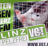 Linz pelzfrei