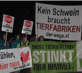 Breiter Widerstand gegen den Bau einer Massentierhaltung